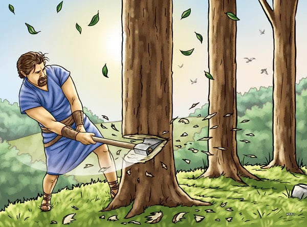 The Hope of Three Trees